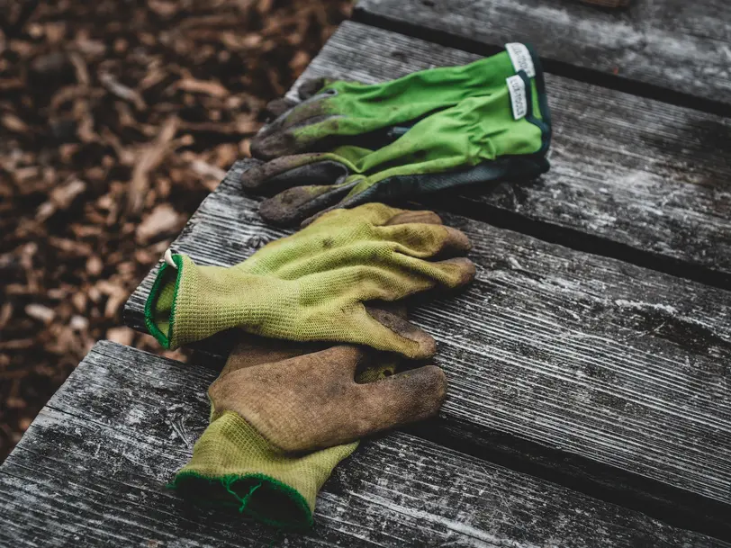 Gebäudereinigung Hausmeister und Gartenservice Herkt in Mühlhausen